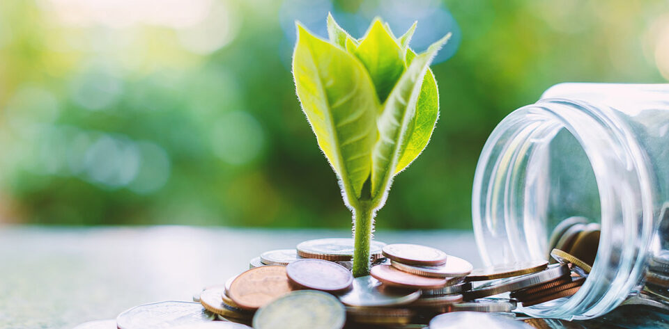 Things you should do every time you get paid