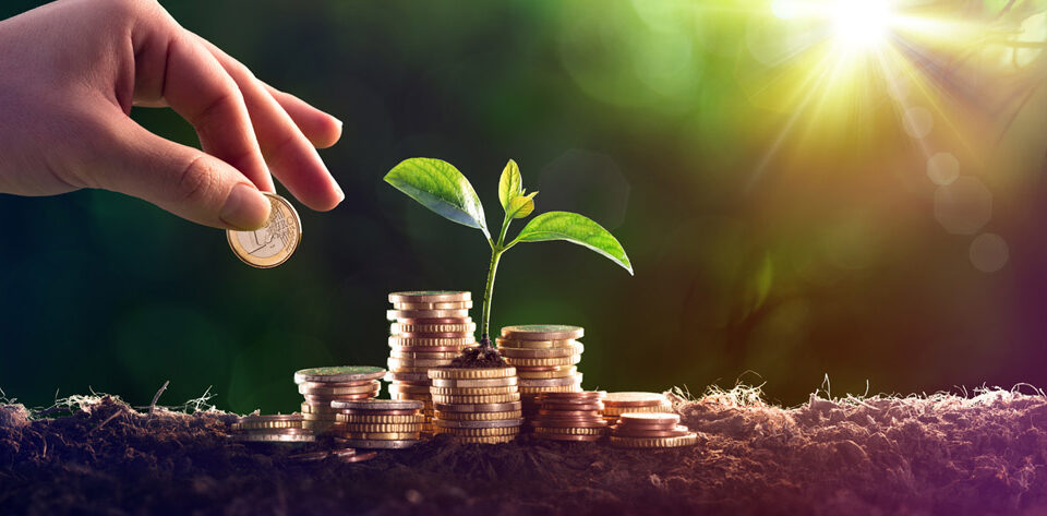 Choosing investment options in your super