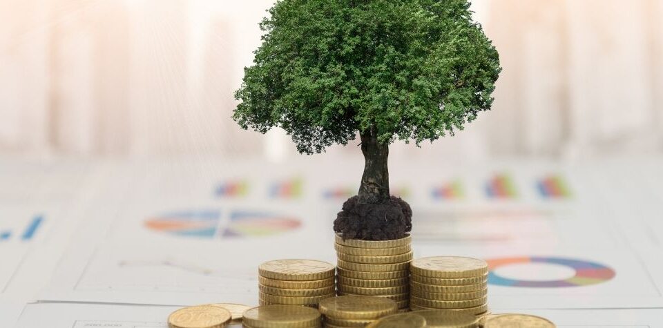 What Is Ethical Investing