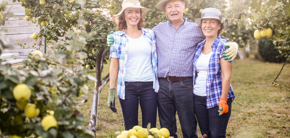 What You Need To Keep In Mind When Succession Planning For The Family Business