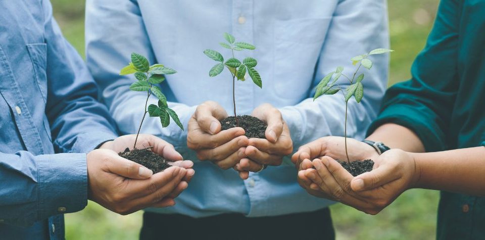 Ethical Superannuation Concerns For Members Of Funds